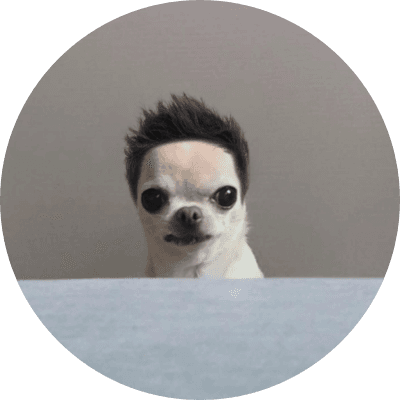 dogwifhair logo