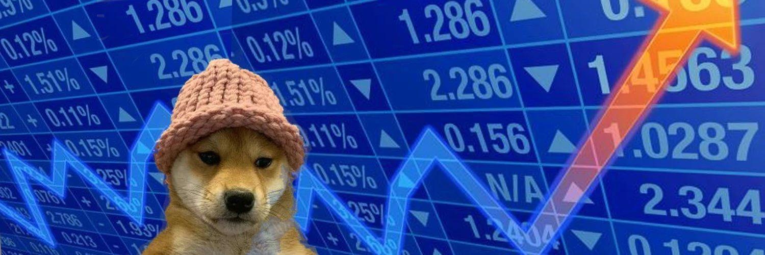 dogwifhat banner