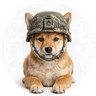 DogWifHelmet