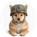 DogWifHelmet