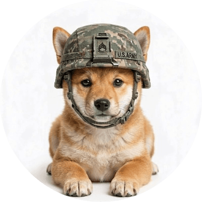 DogWifHelmet logo
