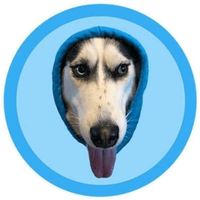 DOGWIFHOOD logo