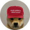 dogwifmaga