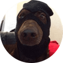 dogwifmask