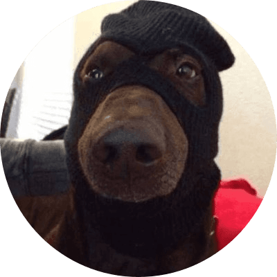 dogwifmask logo