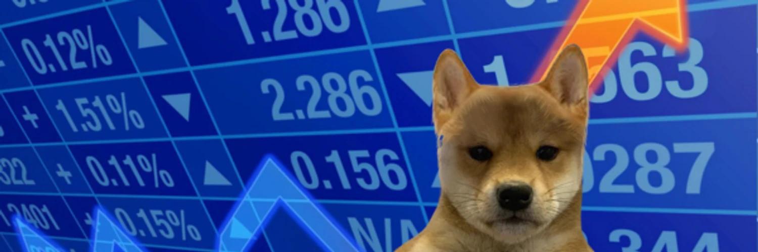 DogWifNoHat banner