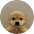 Wifout