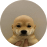 DogWifoutHat