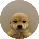DogWifoutHat