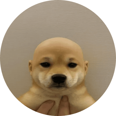 DogWifoutHat logo