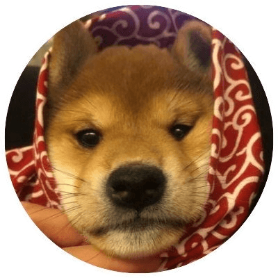 dogwifscarf logo