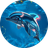 DOLA