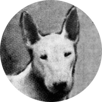 donald boat computer fund logo