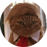 DONALDCAT