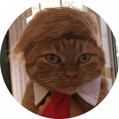 DONALDCAT logo