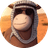 DONKEY