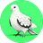HPG