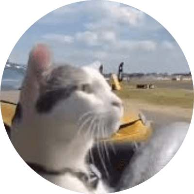 Driftin Cat logo
