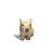 dug