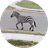 Ed