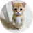 ELGATO