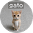 gato