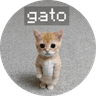 el gato
