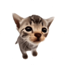 Elgatitolover