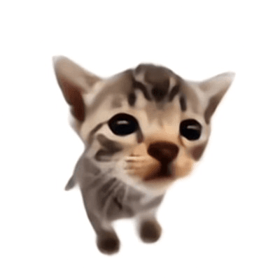 Elgatitolover logo