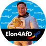 Elon for AfD 