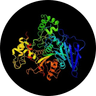 Enzyme