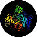 Enzyme