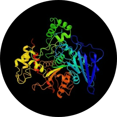Enzyme logo