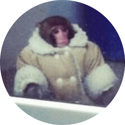 Famous IKEA monkey logo