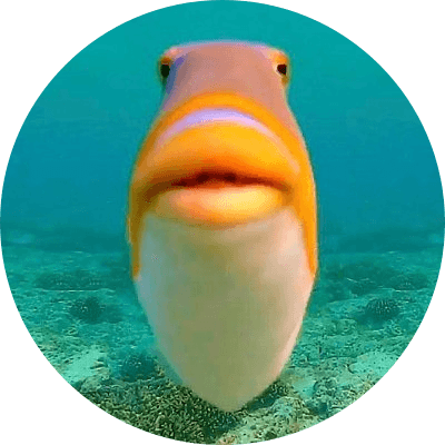 feesh logo