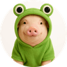 fig