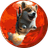 MDoge