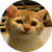 sirius