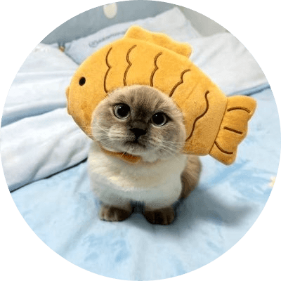 Fish Cat logo