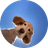 FLAPPY