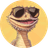 FLS