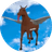 FKH