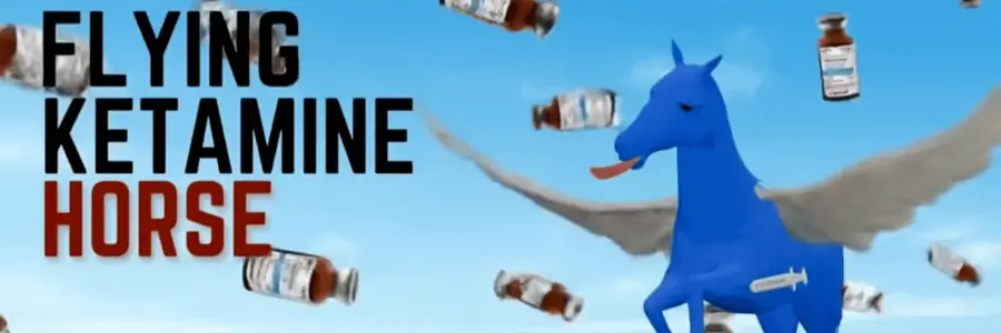 Flying Ketamine Horse banner