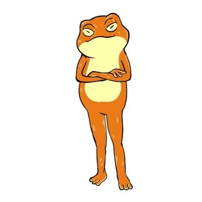 fonk the frog logo