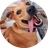 FRNK