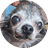 FRITZY
