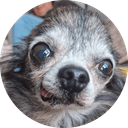 Fritz