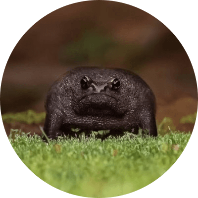 Frog logo