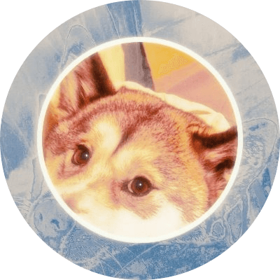 FrostyDoge logo