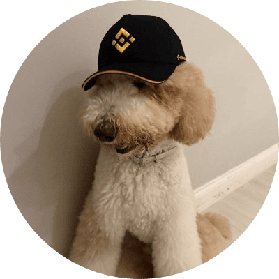 fur-nancial advisor logo